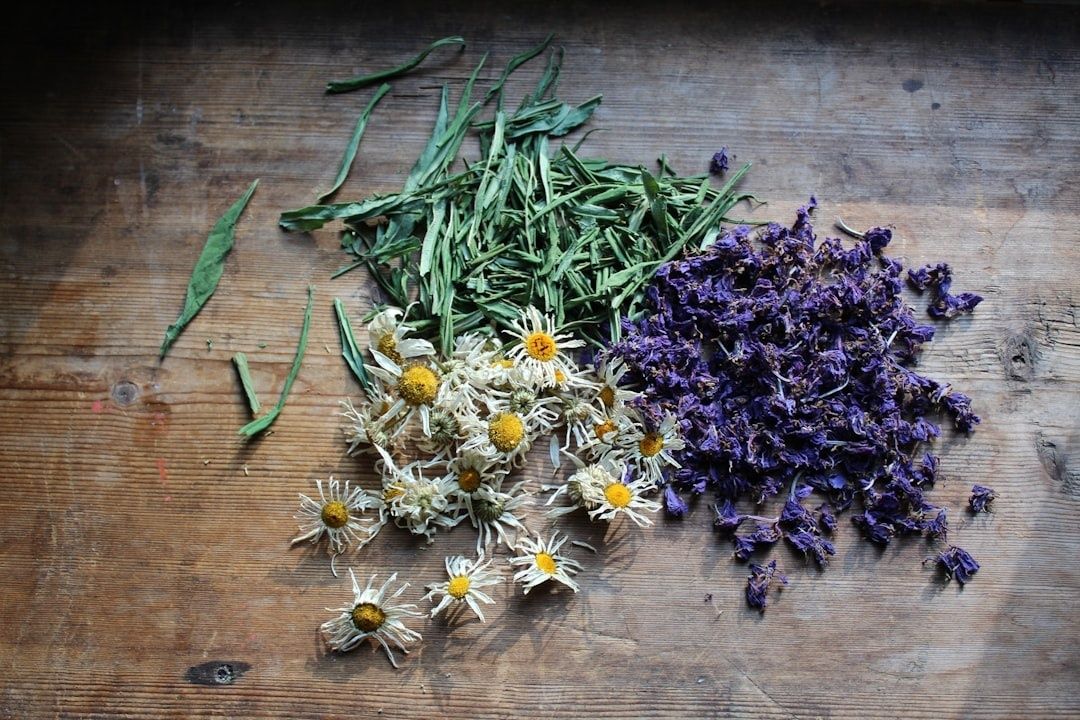 Torkade gröna örter, vita blommor och lila blomblad på träbord